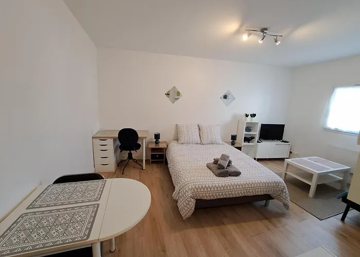 Cosy En Hypercentre * 布雷斯特